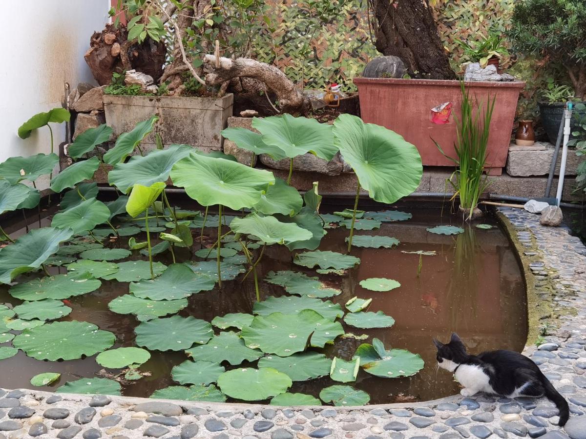 The Lily Pad Inn Dali  Zewnętrze zdjęcie
