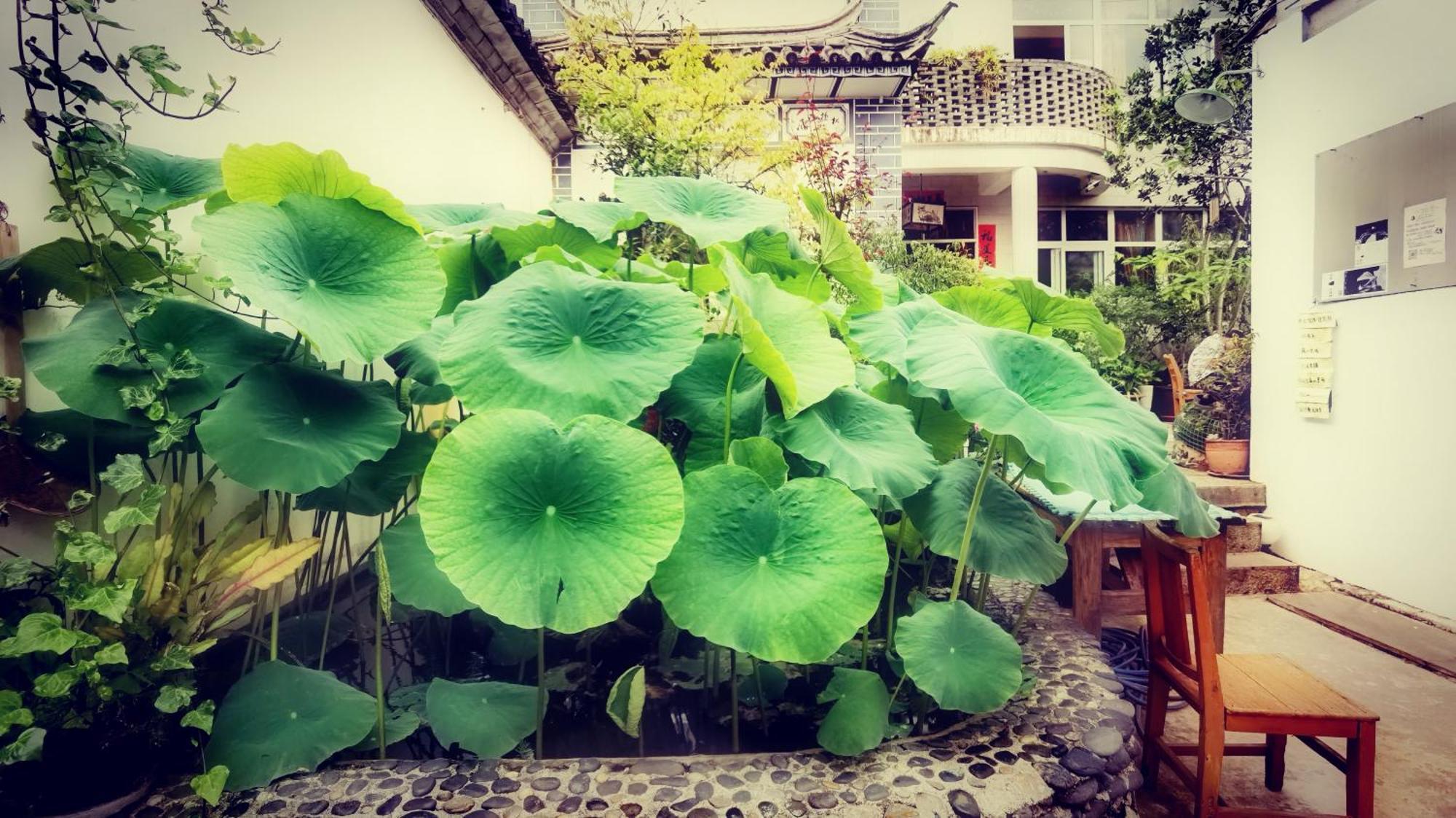 The Lily Pad Inn Dali  Zewnętrze zdjęcie