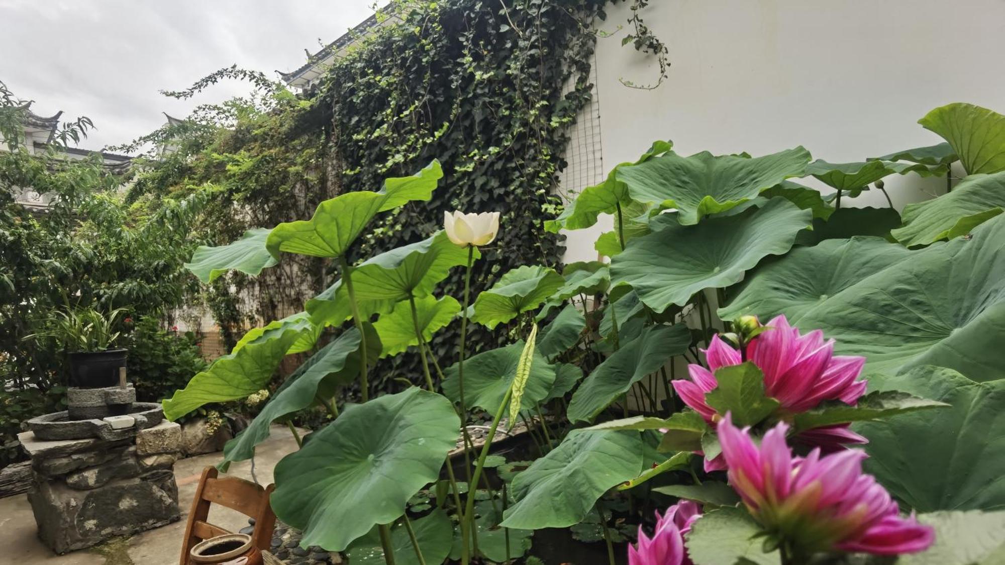 The Lily Pad Inn Dali  Zewnętrze zdjęcie